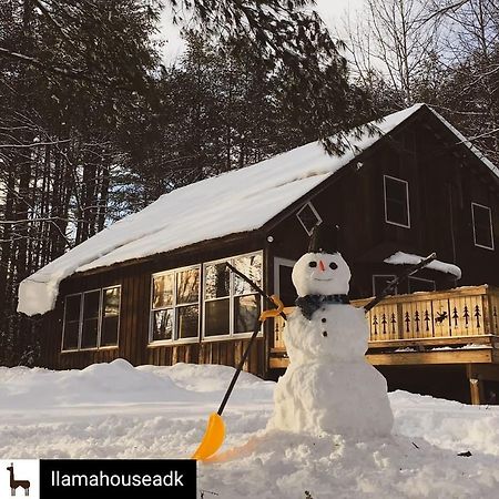 Llama House Adk Wevertown Bagian luar foto