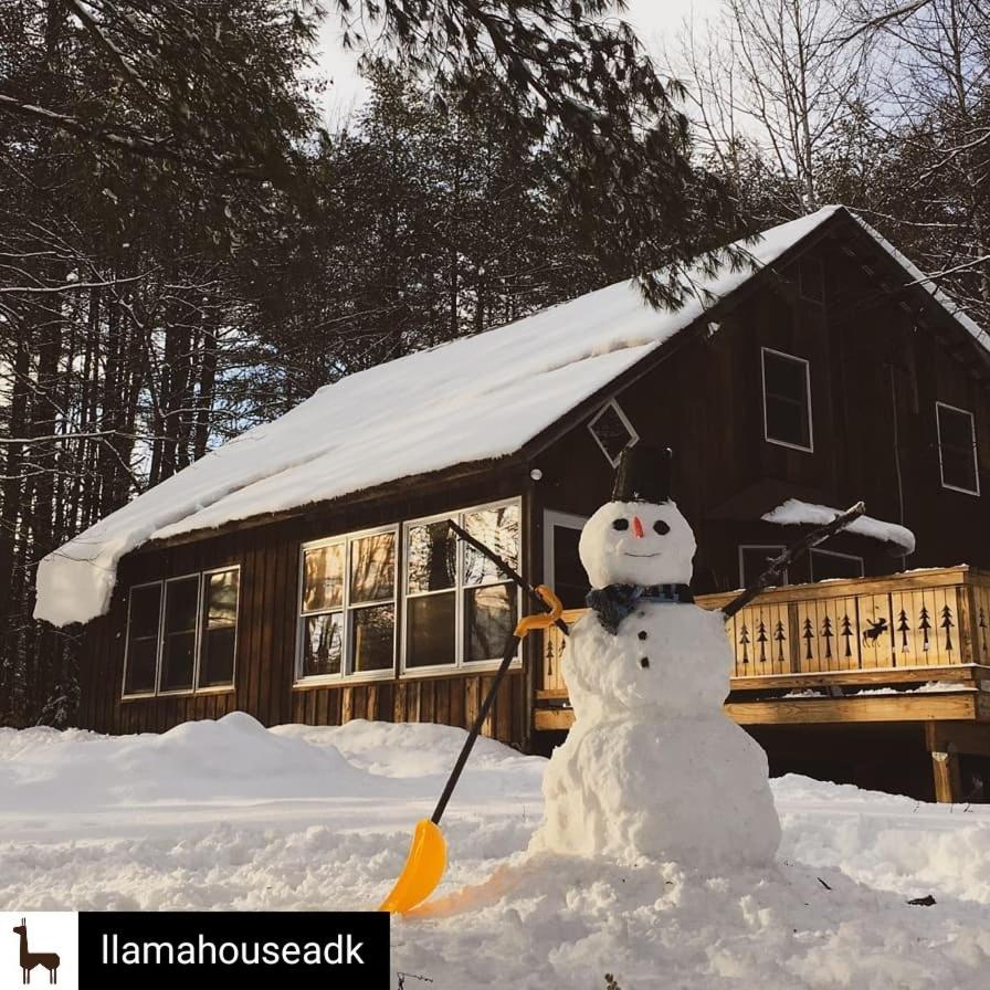 Llama House Adk Wevertown Bagian luar foto